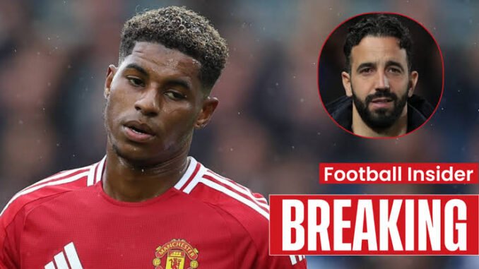 images - 2025-10-27T081251.277